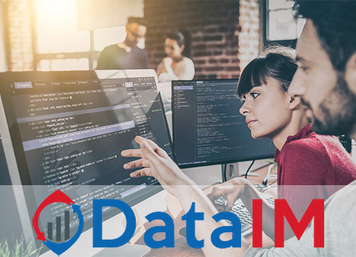 DataIM logo with a background of developers working on a computer